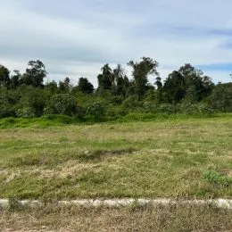 Terreno, foto 12