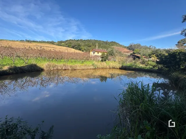 Área rural com 4 dormitórios