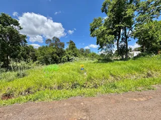 Paisagem de grama e vegetação ao lado de uma estrada de terra.