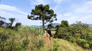 Vista panorâmica de vegetação e colinas em Lajeado, Brasil.