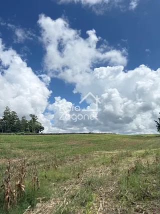Área rural, foto 11