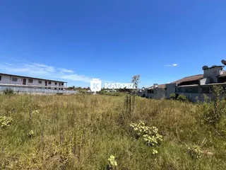 Paisagem de campo com vegetação alta em um dia ensolarado.