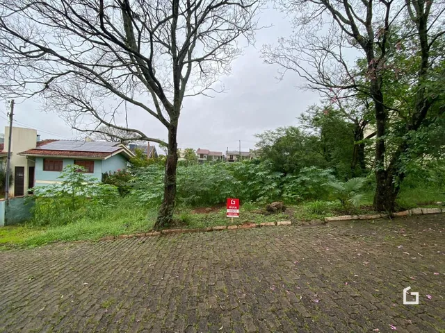 Terreno