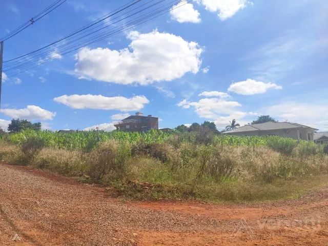 Terreno, foto 2
