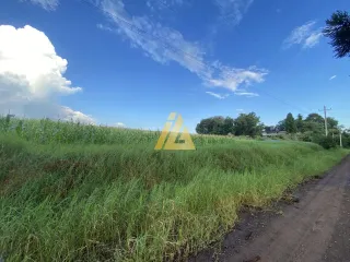 Terreno, foto 6