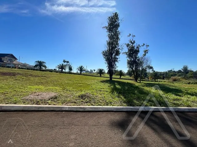 Terreno