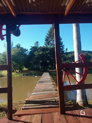 Uma passarela de madeira sobre a água com vegetação ao fundo.