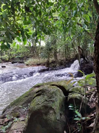 Área rural com 4 dormitórios, foto 26