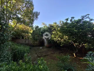 Casa com 3 dormitórios, foto 14