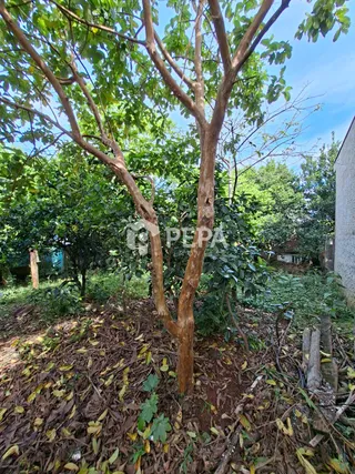 Casa com 2 dormitórios, foto 8