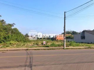 Vista externa de uma rua com vegetação ao fundo.
