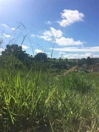 Terreno, foto 1