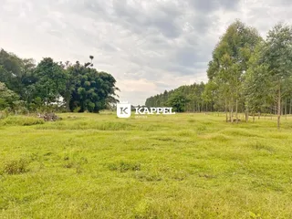 Campo verde aberto com vegetação e árvores ao fundo.