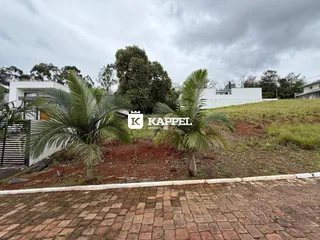 Vista da fachada de uma residência com paisagismo de palmeiras em Lajeado.