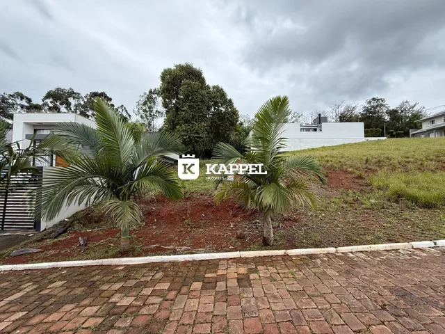 Vista da fachada de uma residência com paisagismo de palmeiras em Lajeado.