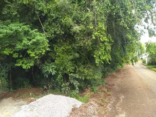 Terreno, foto 5
