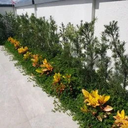 Casa com 3 dormitórios, foto 21