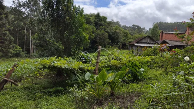 Área rural, foto 5
