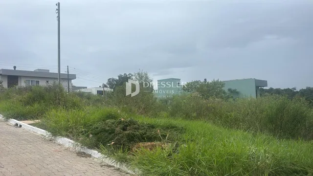 Vista da rua com vegetação densa na frente de um imóvel.