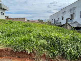 Vista externa de uma propriedade com vegetação alta em Lajeado.