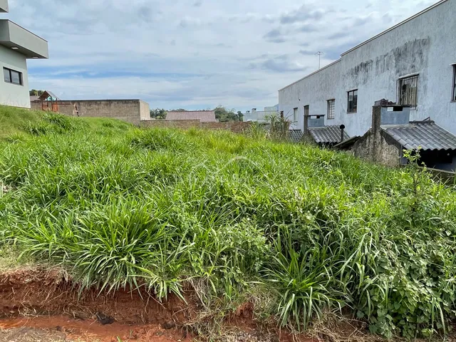Vista externa de uma propriedade com vegetação alta em Lajeado.