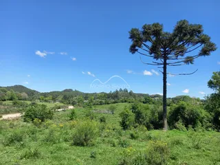 Área rural, foto 5