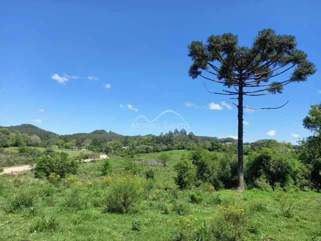 Área rural, foto 5