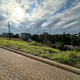 Vista externa de um caminho pavimentado com grama e vegetação em uma propriedade.