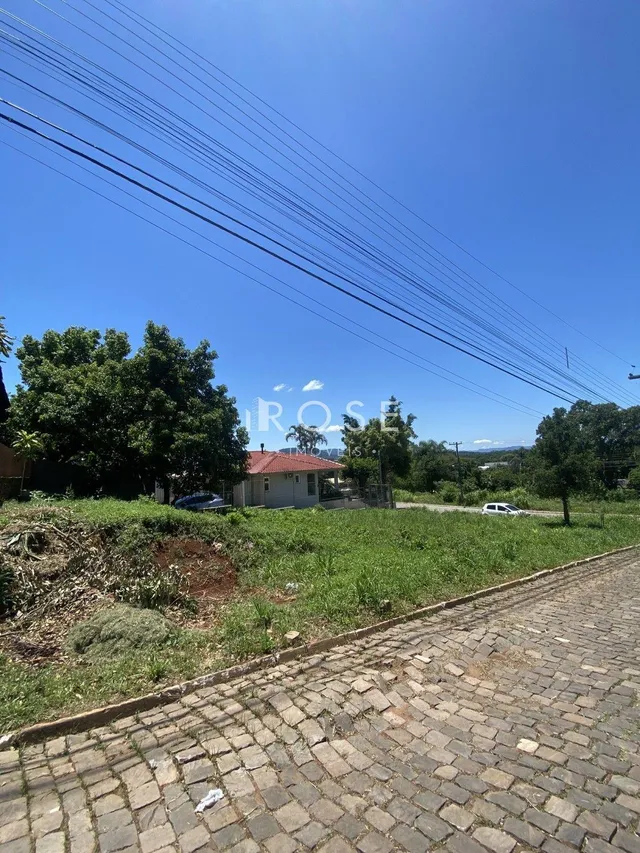 Terreno, foto 4