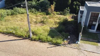 Vista da propriedade com vegetação alta ao lado da rua e poste de luz.