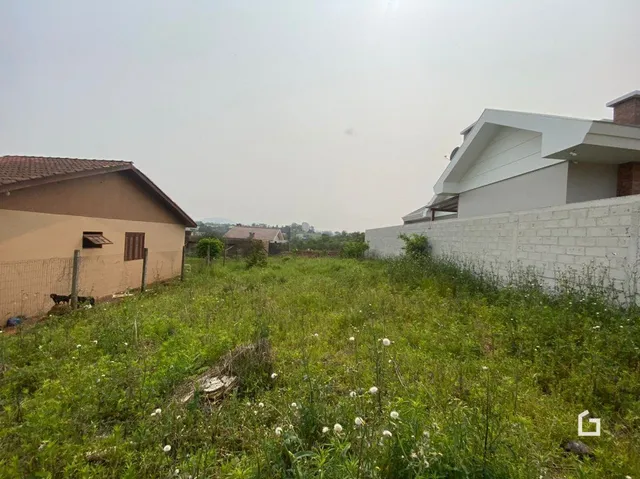 Vista externa de um terreno com vegetação alta e muro de vedação.