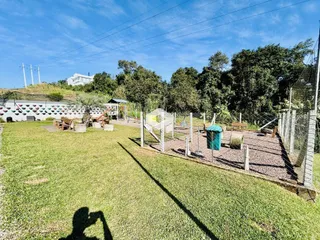 Vista externa de um gramado com cerca e vegetação ao fundo.