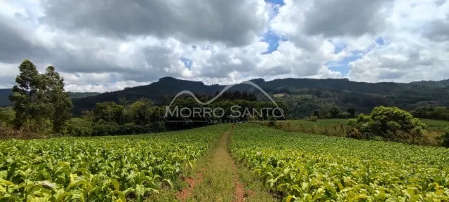 Paisagem de campo verde com colinas ao fundo.