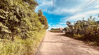 Área rural, foto 12