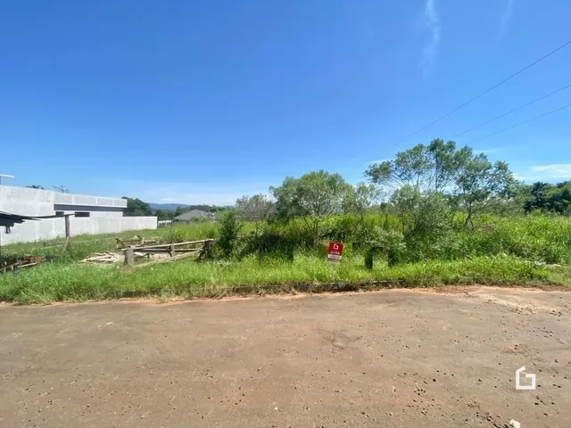 Paisagem de terra e vegetação ao ar livre na propriedade.