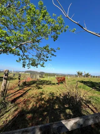 Área rural com 2 dormitórios, foto 10