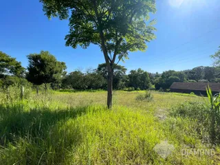Área rural com 3 dormitórios, foto 7