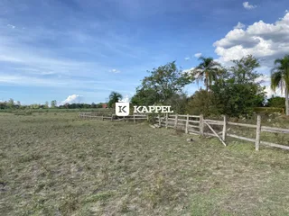 Área rural com 3 dormitórios, foto 43