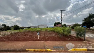Terreno, foto 13
