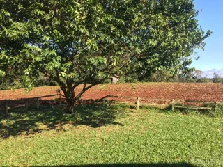 Área rural com 2 dormitórios, foto 7