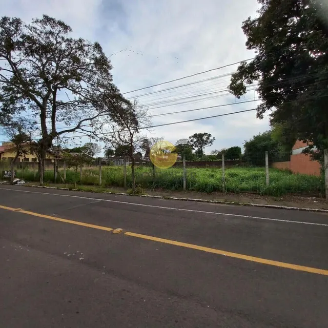 Terreno, foto 3