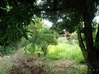 Terreno, foto 5