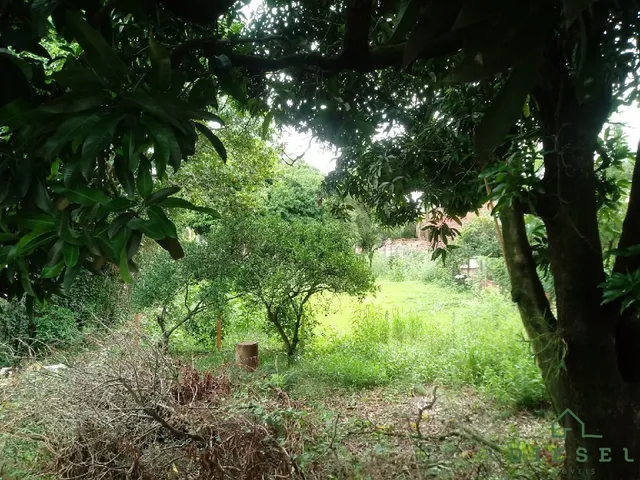 Terreno, foto 5