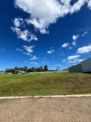 Terreno, foto 7