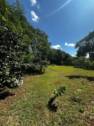 Casa com 4 dormitórios, foto 14