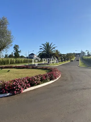 Terreno, foto 2