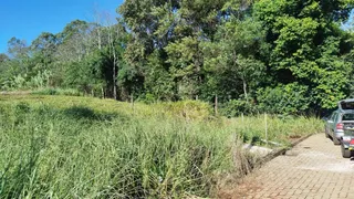 Terreno, foto 3
