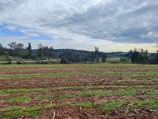 Terreno, foto 13