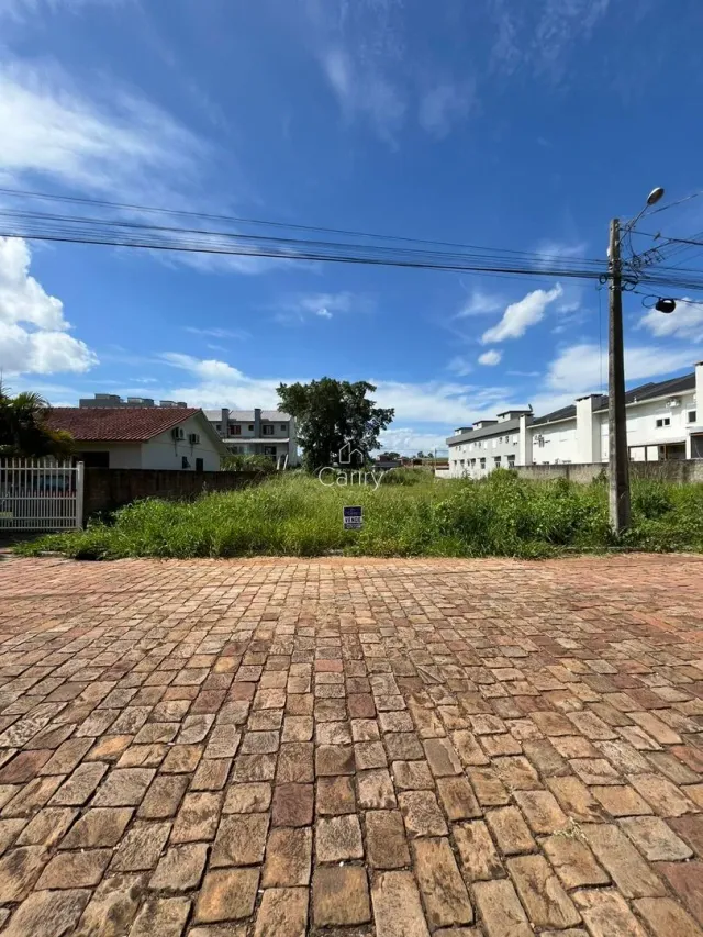 Terreno, foto 2