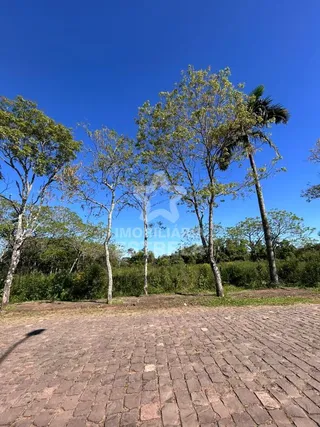 Terreno, foto 4